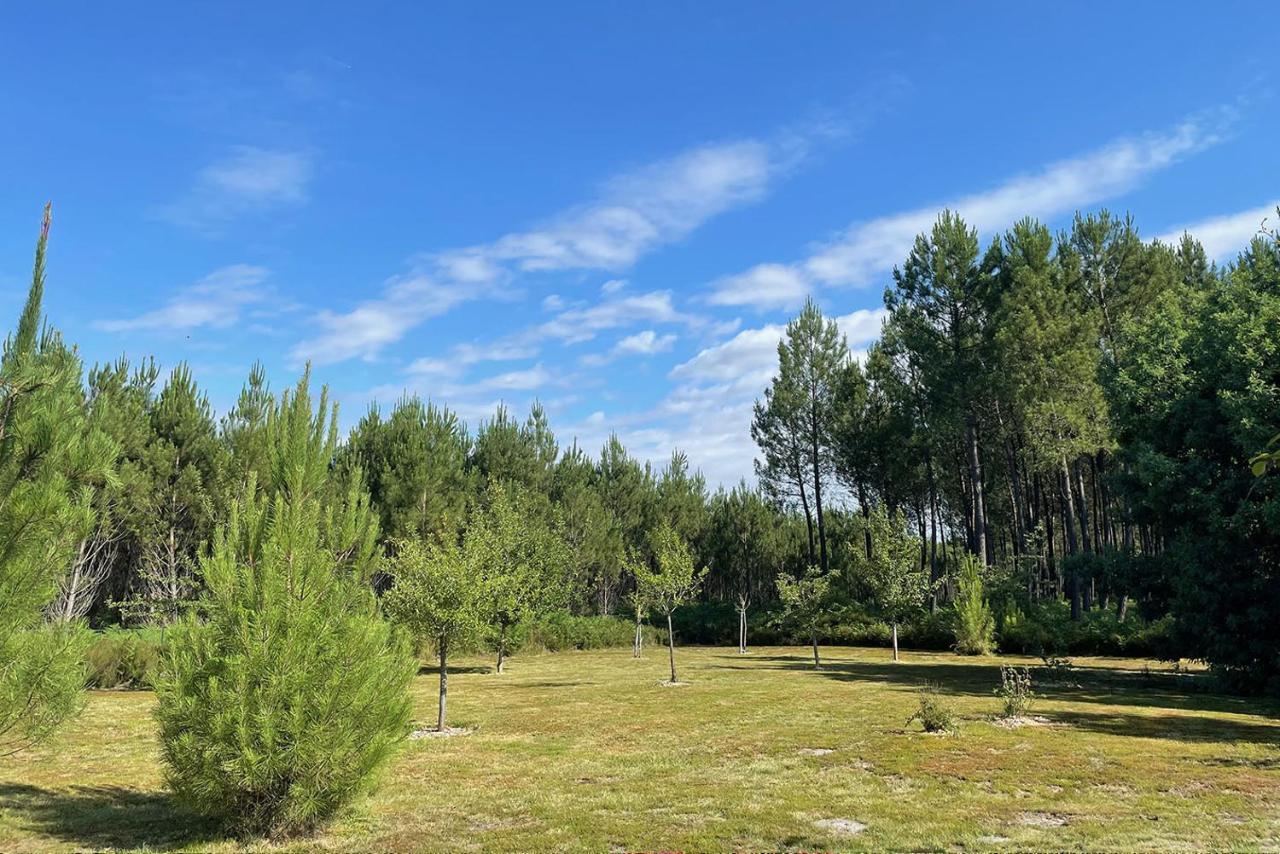 La Grange Du Coulin Otel Onesse-et-Laharie Dış mekan fotoğraf